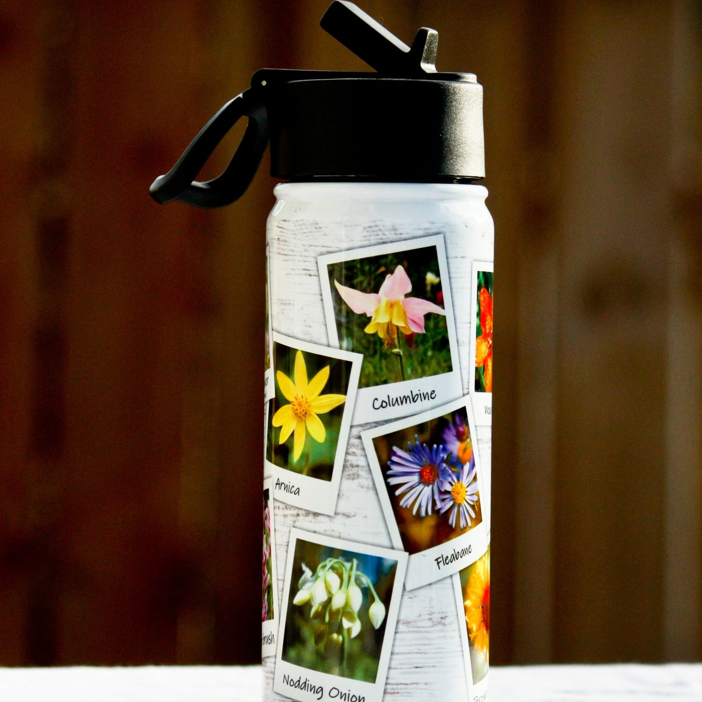 18oz Stainless Steel Tumbler - Kootenay National Park